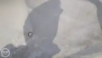 কন্টেইনার জাহাজ বিক্রির জন্য