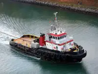টাউবোট বিক্রির জন্য