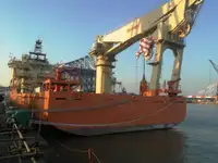 বাল্ক ক্যারিয়ার বিক্রির জন্য