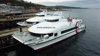 ক্যাটামারান বিক্রির জন্য