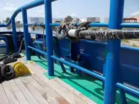 বাল্ক বাহক বিক্রির জন্য
