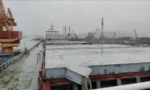 বাল্ক বাহক বিক্রির জন্য