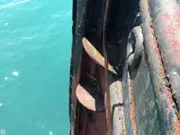 টগবোট বিক্রির জন্য