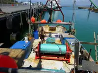 Trawler বিক্রির জন্য
