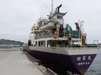 General Cargo/Multi-purpose বিক্রির জন্য