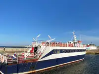 যাত্রীবাহী জাহাজ বিক্রির জন্য
