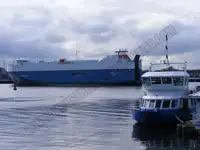 বাল্ক বাহক বিক্রির জন্য