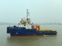 টাউবোট বিক্রির জন্য