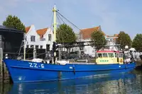 Trawler বিক্রির জন্য