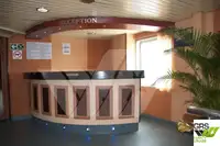 Ro-Ro ship বিক্রির জন্য