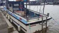কাটার বিক্রির জন্য