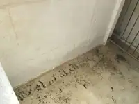 ট্রলার বিক্রির জন্য