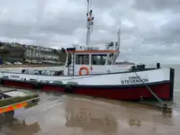 টাউবোট বিক্রির জন্য