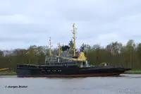 বহুমুখী বিক্রির জন্য