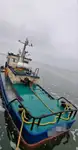 টগবোট বিক্রির জন্য