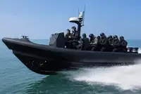 রিজিড ইনফ্লেটেবল বোট বিক্রির জন্য