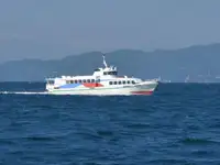 ফেরি জাহাজ বিক্রির জন্য