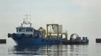 টাউবোট বিক্রির জন্য