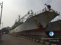 স্কুইড জিগার বিক্রির জন্য