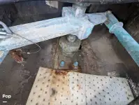 ক্রুজফেরি বিক্রির জন্য