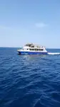 ক্যাটামারান বিক্রির জন্য