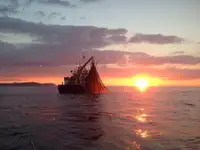 ট্রলার বিক্রির জন্য