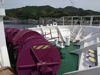 বাল্ক বাহক বিক্রির জন্য