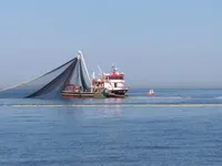মাছ ধরার জাহাজ বিক্রির জন্য
