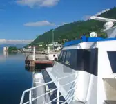 ফেরি জাহাজ বিক্রির জন্য