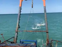 ওয়ার্ক বোট বিক্রির জন্য
