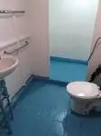 ফেরি জাহাজ বিক্রির জন্য