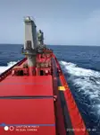 বাল্ক বাহক বিক্রির জন্য