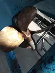 পাইলট বোট বিক্রির জন্য