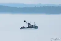 পার্স সেইনার বিক্রির জন্য