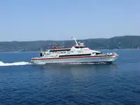 ক্যাটামারান বিক্রির জন্য