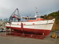 ট্রলার বিক্রির জন্য