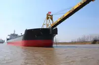 বাল্ক ক্যারিয়ার বিক্রির জন্য