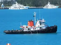 টাউবোট বিক্রির জন্য