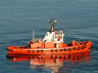 টাউবোট বিক্রির জন্য