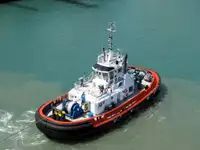 টাউবোট বিক্রির জন্য