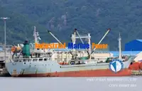 রিফার জাহাজ বিক্রির জন্য