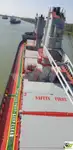 বাল্ক বাহক বিক্রির জন্য