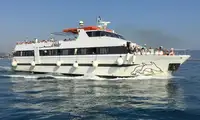 যাত্রীবাহী জাহাজ বিক্রির জন্য