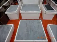 ট্রলার বিক্রির জন্য