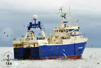 Trawler বিক্রির জন্য