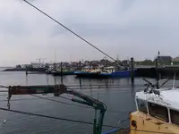 ট্রলার বিক্রির জন্য