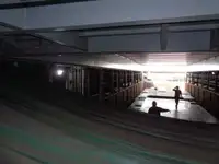 বাল্ক বাহক বিক্রির জন্য