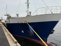 General Cargo/Multi-purpose বিক্রির জন্য