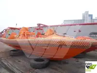 ওয়ার্ক বোট বিক্রির জন্য