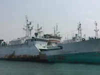 লংলাইনার বিক্রির জন্য